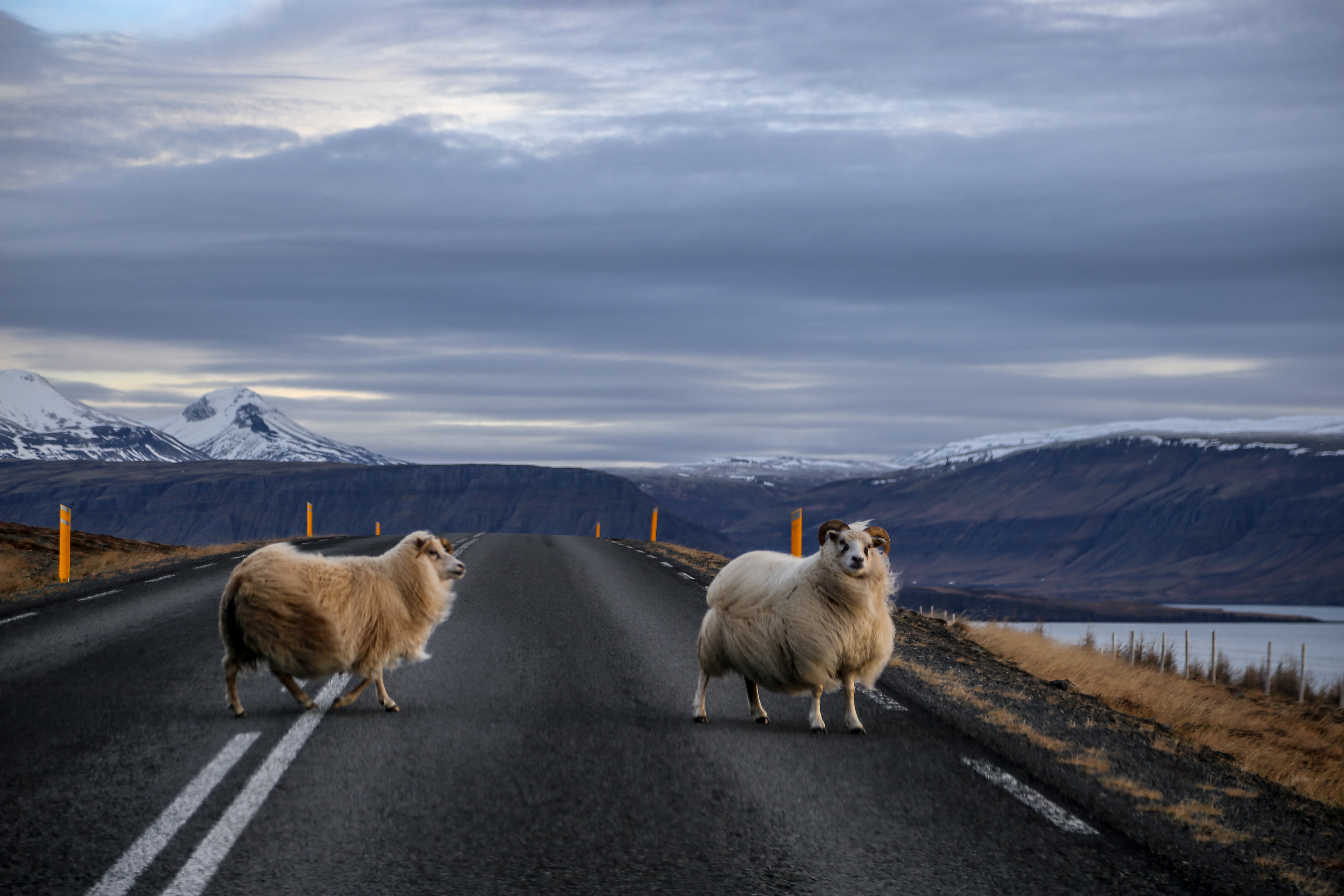 L Islande En Hiver Road Trip De 7 Jours